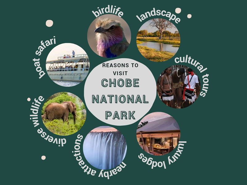 Is Chobe National Park Worth Visiting? 1 Is Chobe National Park Worth Visiting? 1