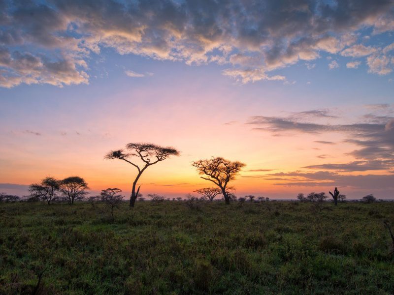The Green Season in East Africa: Why the “Low” Season may be the Best Time for Your Safari 1 The Green Season in East Africa: Why the “Low” Season may be the Best Time for Your Safari