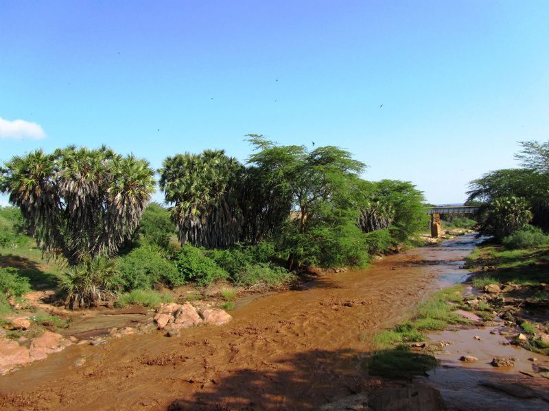 The Green Season in East Africa: Why the “Low” Season may be the Best Time for Your Safari 2 Traveling During the Off-Peak Period in East Africa