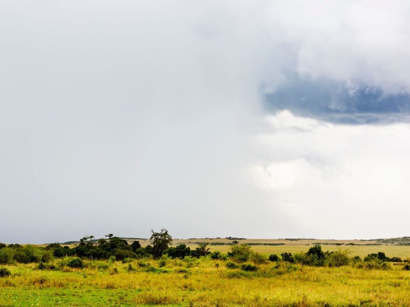 The Green Season in East Africa: Why the “Low” Season may be the Best Time for Your Safari 3 Reasons to Book Green Season Safari East Africa