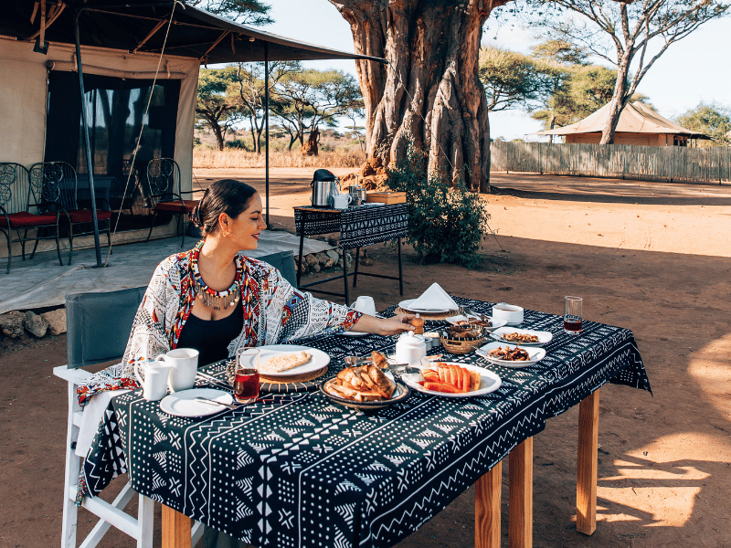 What I Wish I Knew Before Visiting Tanzania 3 Lunch on safari