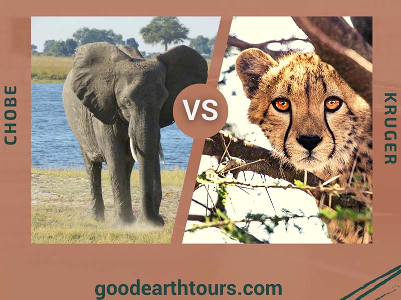 Chobe vs Kruger: Which is Better? 1 Chobe vs Kruger: Which is Better? 1