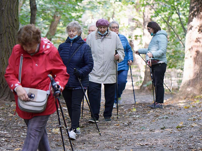 Africa Safaris For Seniors: 7 Spots Travelers Love (With Tips!) 2 Africa Safaris For Seniors also involves trekking