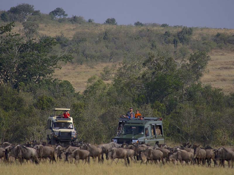 Africa Safaris For Seniors: 7 Spots Travelers Love (With Tips!) 3 Masai mara in kenya for Africa Safaris For Seniors