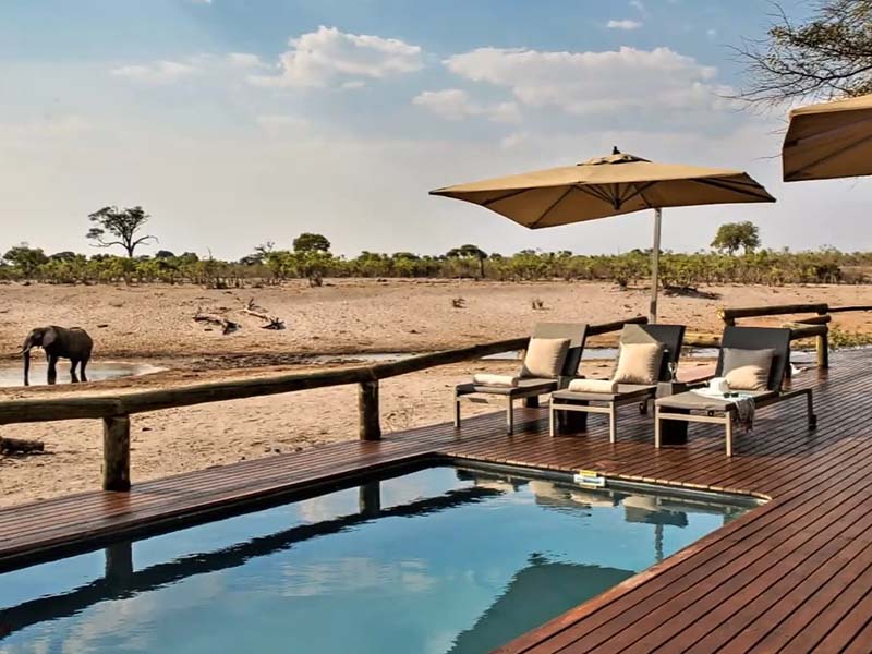 The Best Places to Stay Near Chobe National Park 18 savute lodge, best place near chobe national park