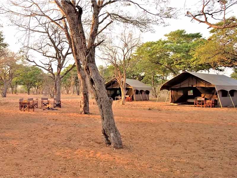 The Best Places to Stay Near Chobe National Park 9 canvas best place near chobe national park
