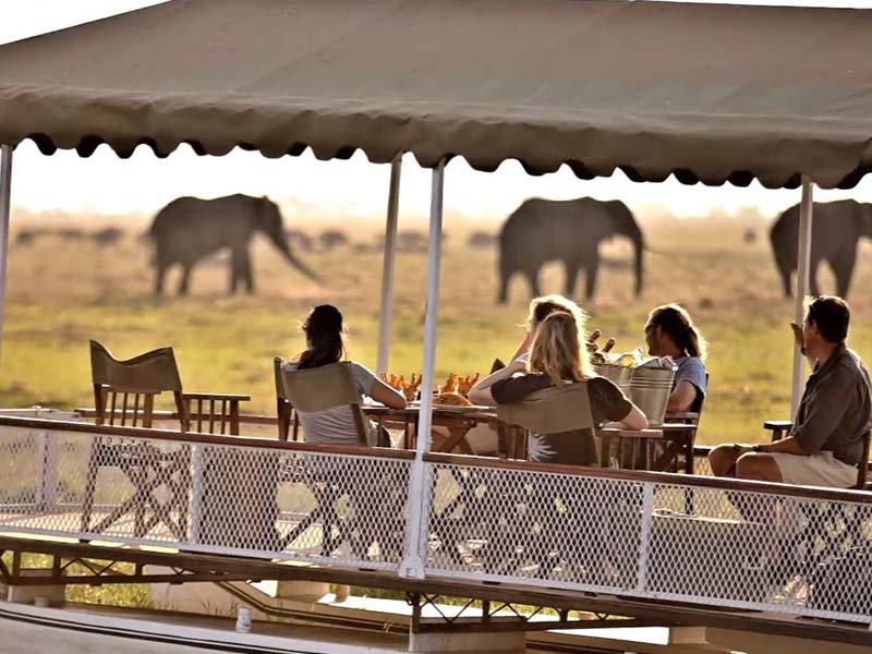 The Best Places to Stay Near Chobe National Park 11 best place near chobe national park