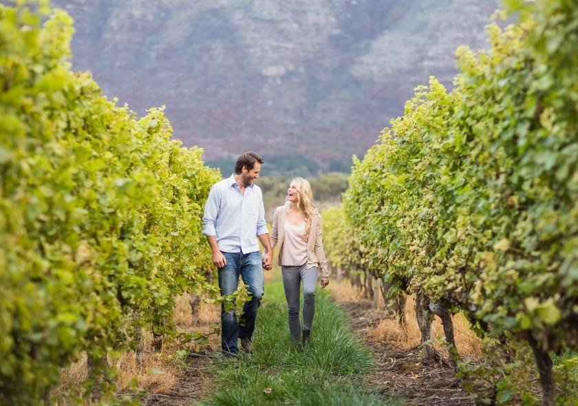 8 Reasons Why You Should Go on a South African Safari in 2025 3 visit vineyards during your South African Safari