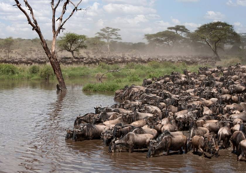 What You Didn’t Know About The Great Migration