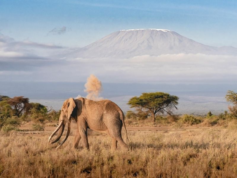 Mount Kilimanjaro Climbing Guide: Ideal Times for the Ultimate Trek 1 Mount Kilimanjaro Climbing Guide: Ideal Times for the Ultimate Trek