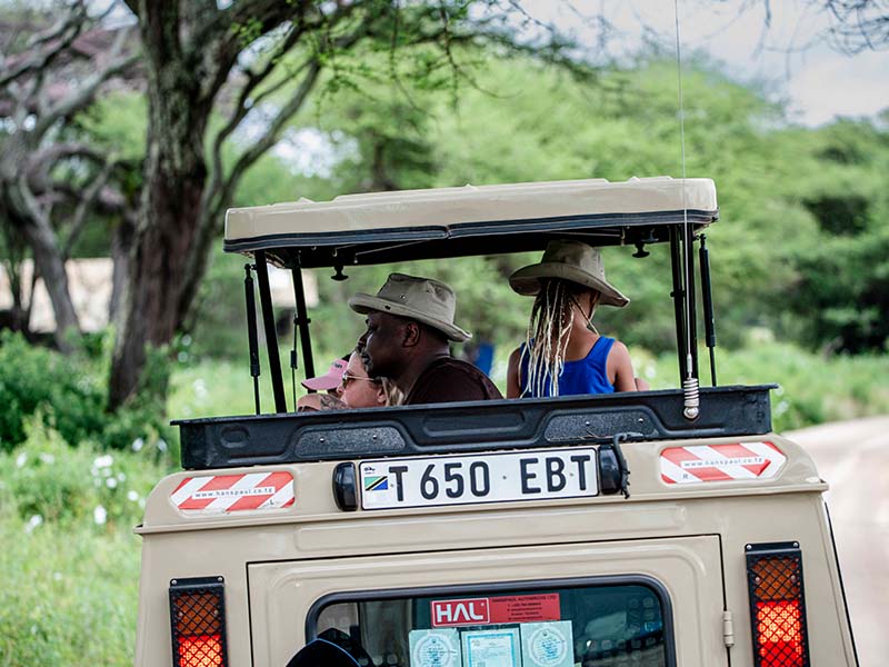 Mythbusters: Debunking the "Dangerous Safari" Myth 2 Dangerous Safari Myth