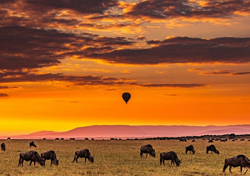 Kenya Safari Tours & Packages: A Comprehensive Guide 5 Balloon safari is a Popular Kenya Safari Tours Activity