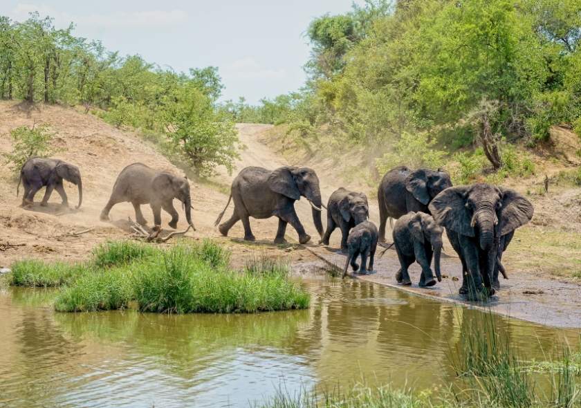 10 Must-Visit Spots in South Africa + A Bonus Destination 4 Best Of South African Parks