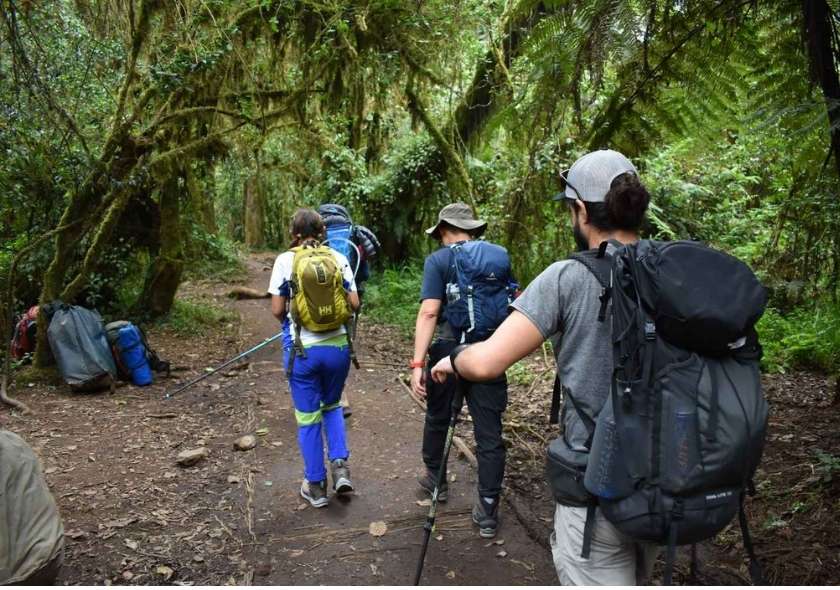 The Best Time to Hike Kilimanjaro’s Machame Route: A Seasonal Guide 2 Why Choose the Machame Route?