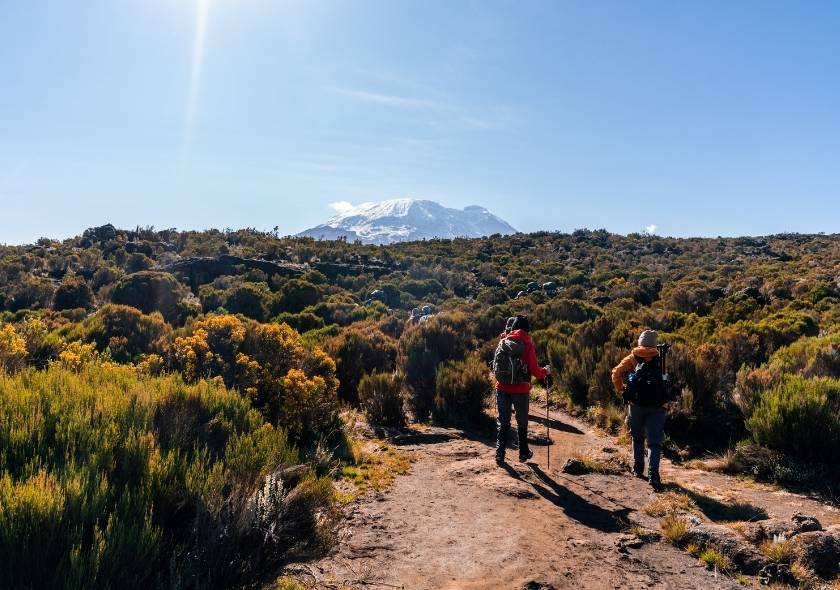 A Step-by-Step Guide to the Northern Circuit Route on Kilimanjaro 3 Partner with Good Earth Tours for a seamless and responsible Kilimanjaro experience.