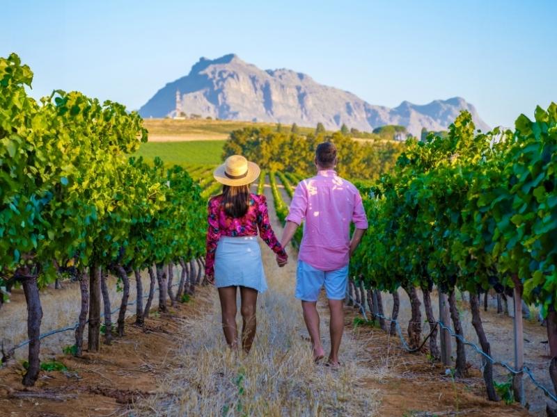 Cape Town, South Africa: All You Need To Know Before You Go + The Garden Route 3 Wine Tours in Stellenbosch, Paarl, or Franschhoek