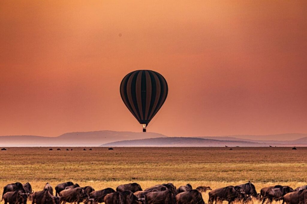 Your Ultimate Maasai Mara Bucket List - Top 10 Things To Do 2 Your Ultimate Maasai Mara Bucket List - Top 10 Things To Do 1