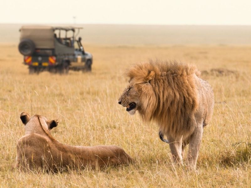 What You Should Know Before Booking a Group Safari 4 on a group tours, things will be different