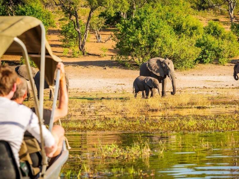 What You Should Know Before Booking a Group Safari 5 Group of Tourists enjoying Safari
