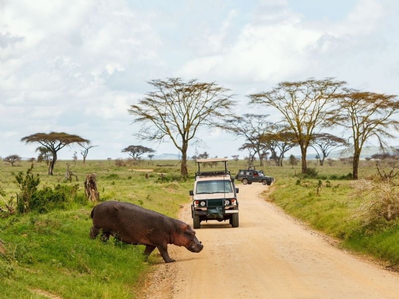 What You Should Know Before Booking a Group Safari 6 Enjoying Group Safari