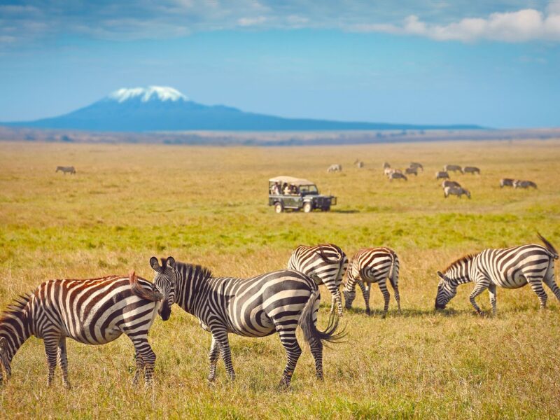 Why East Africa is the Ideal Safari Destination for Families + Must See Spots 5 the must see destinations through East Africa for your next family vacation.