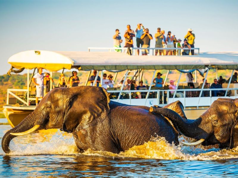 The Great Migration Safari: A Once-in-a-Lifetime Experience for Families + Packing Guide 3 What to pack for a family safari - Great Migration