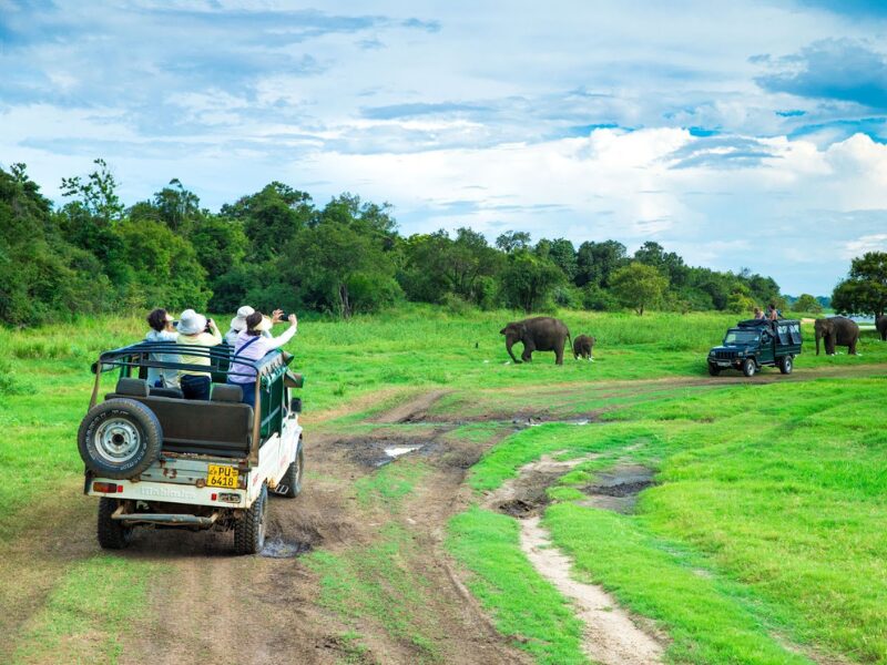 Book Early, Save Big: The Benefits of Planning Your Safari Ahead 1 Book Early, Save Big: The Benefits of Planning Your African Safari Ahead