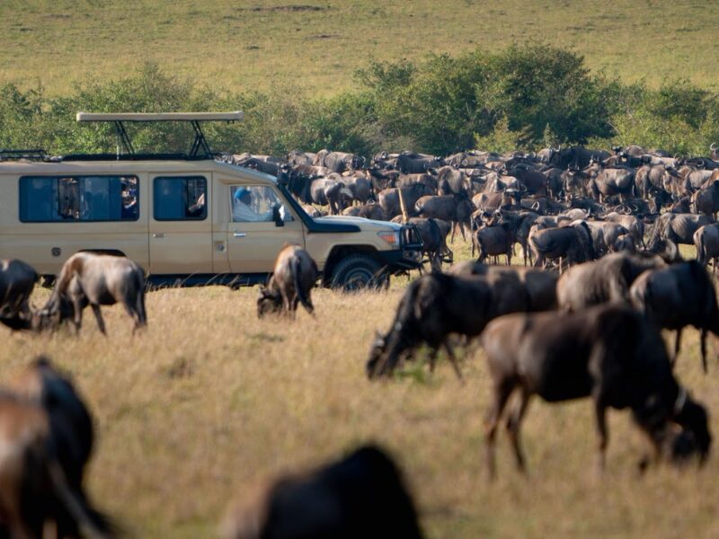 Migration Safari: River Crossing Season in Kenya and Tanzania 2 When and Where to Witness the Crossings on a Migration Safari