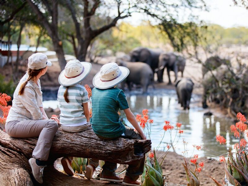 The Best Time for a Family Safari in East Africa & for Spotting The Big 5 2 Timing around the Great Migration