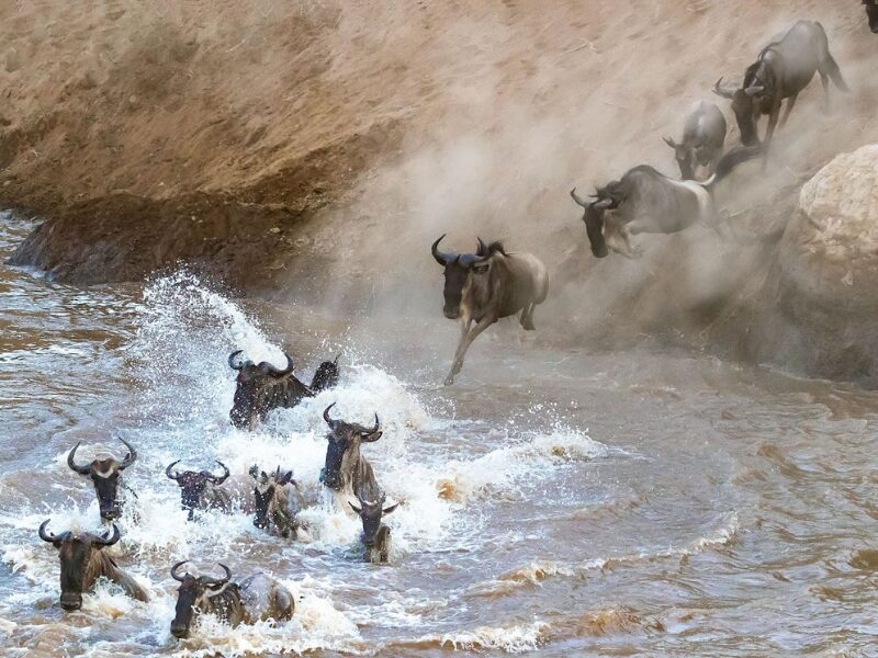 Migration Safari: River Crossing Season in Kenya and Tanzania 3 Migration Safari Camps and Lodges