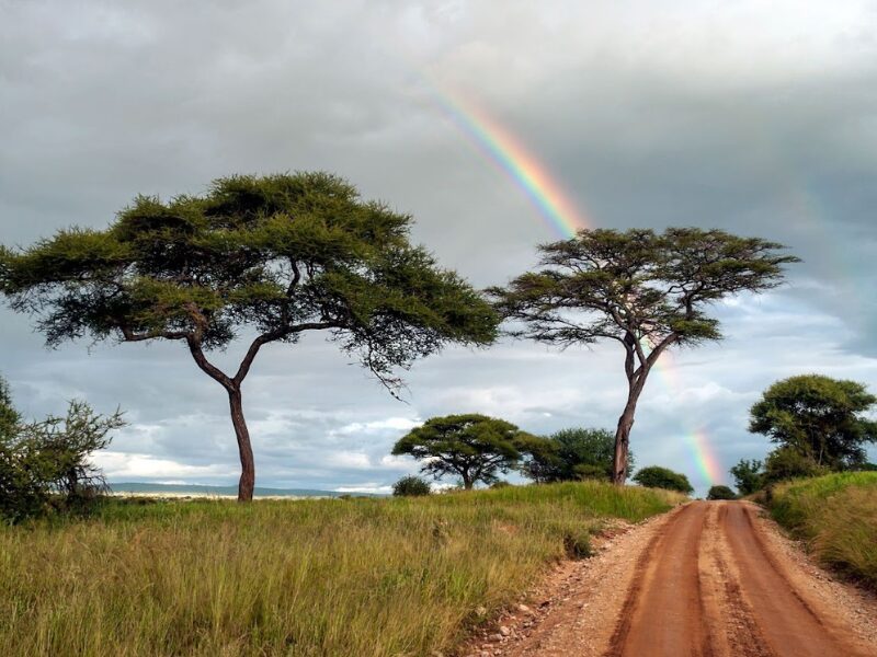 Safari Seasons Explained: When to Go on Safari in East Africa 3 As a general rule, East Africa is warm (and dry) throughout the year. But various countries (and even regions within those countries) experience different climates that need to be considered before planning a visit—and we’ll guide you about that today.