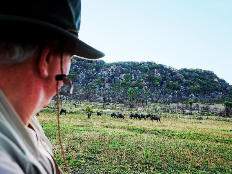 Best African Safaris for Seniors: Do’s, Don’ts, & Top Destinations 1 Best African Safaris for Seniors: Do’s, Don’ts, & Top Destinations