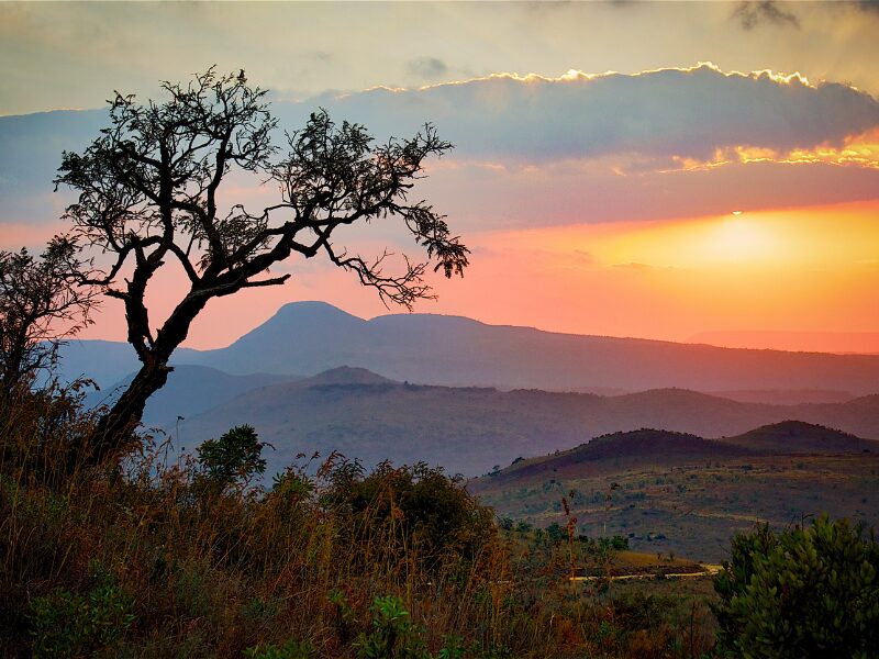 Family Safaris South Africa: The Best Educational Safaris for Kids and Parents 2 The Best Educational Safaris for Families in South Africa