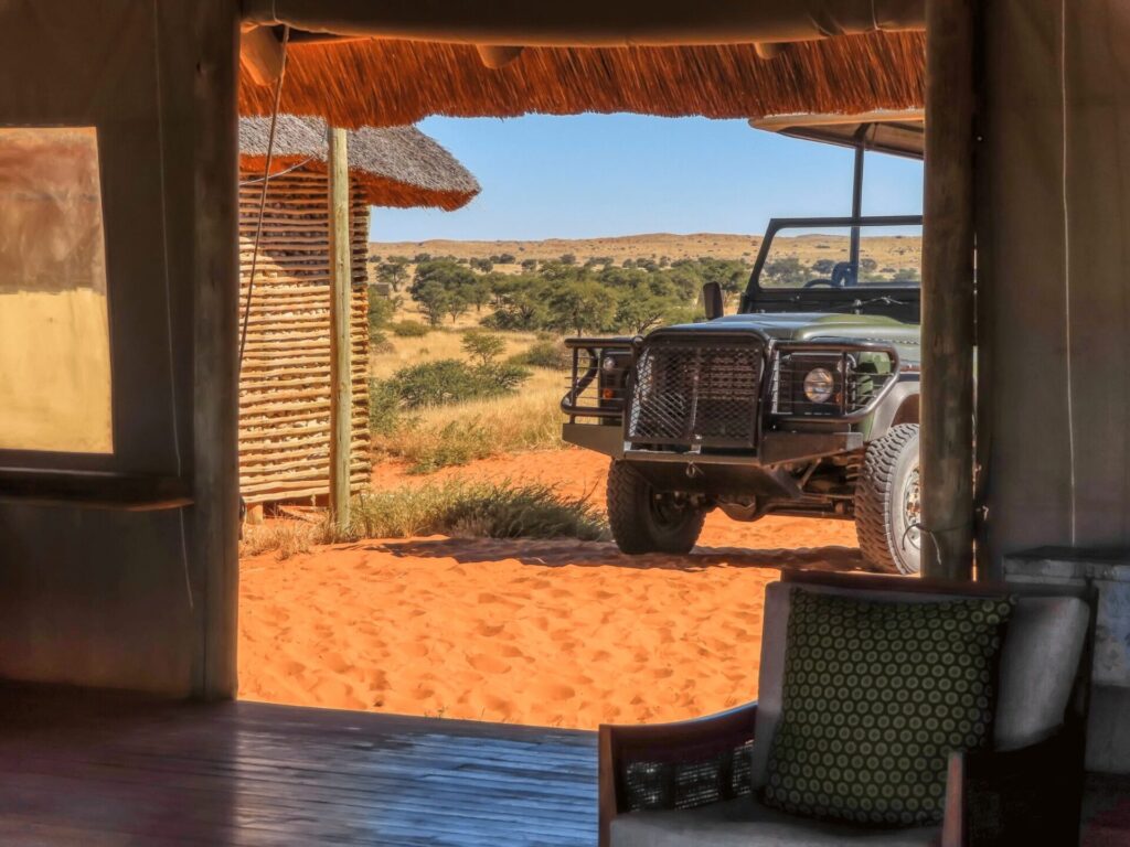 Family Safari Packages: Exploring Africa with Kids 2 Top Destinations for Family Safaris in Africa