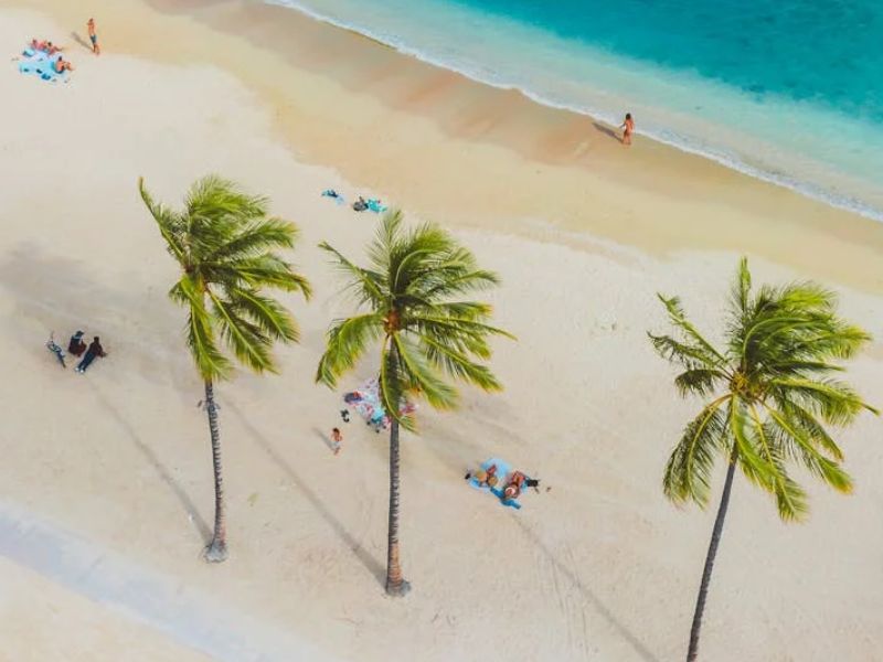Safari and Beach Vacations in Africa - The Perfect Escape. 2 Best Destinations for Safari and Beach Vacations in Africa