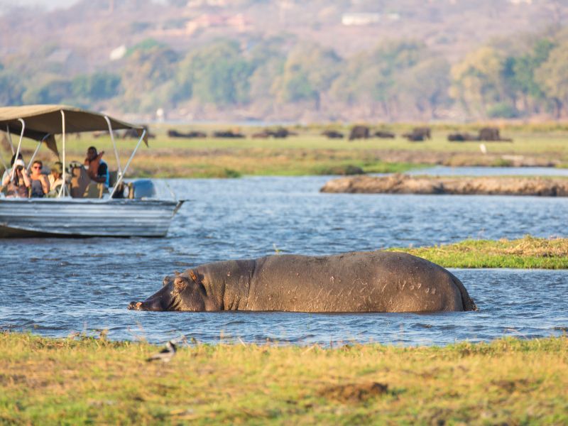 Best National Parks And Reserves In South Africa 3 Experience the Best National Parks And Reserves In South Africa’s Wilderness