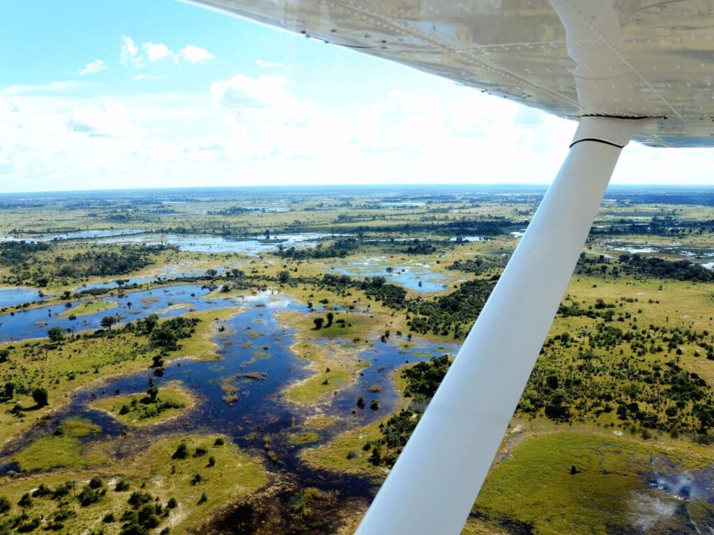 Best Botswana National Parks to Visit for Safari